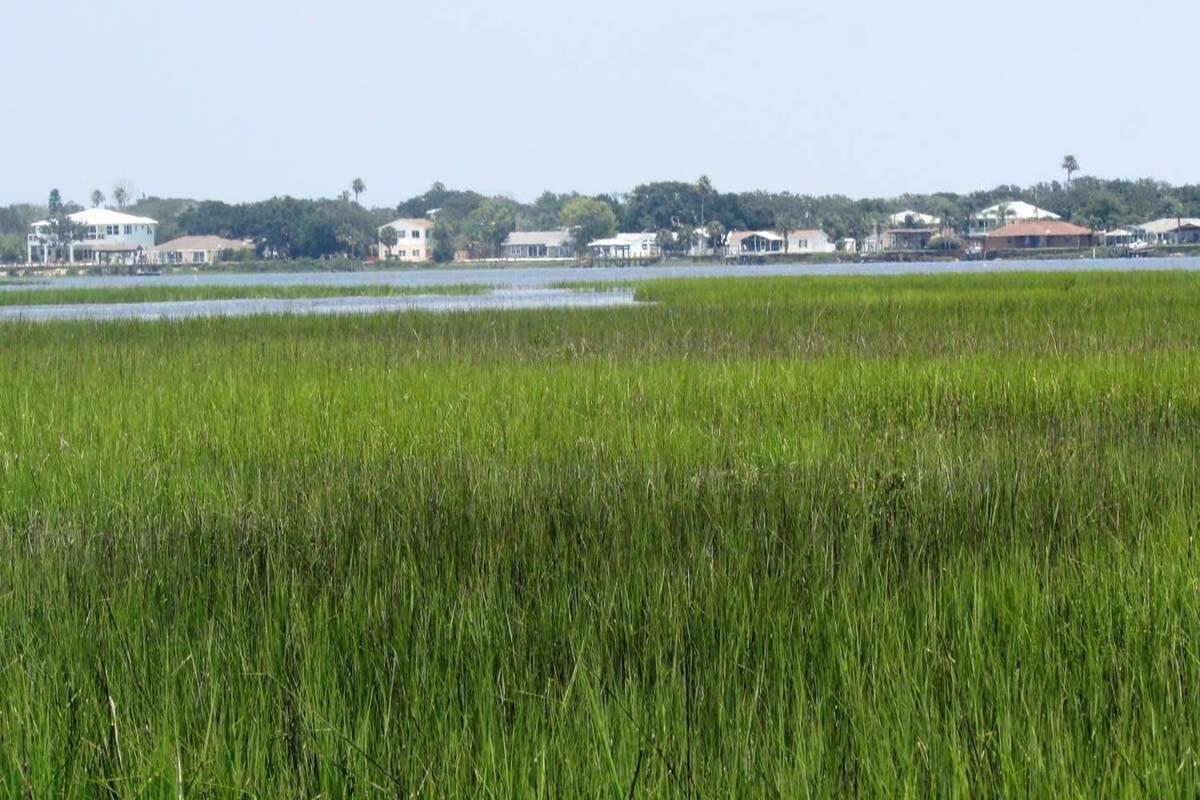 Canal Home Dock Walk To Beach Kayaks Sup Fishing St. Augustine Exterior foto